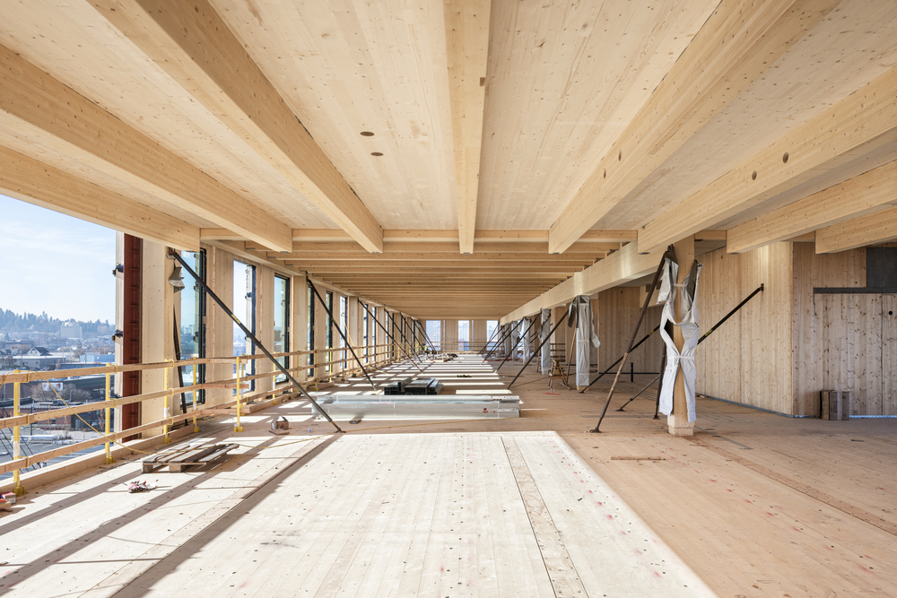 Practical Lessons for Structural Analysis and Design of Cross-Laminated Timber 