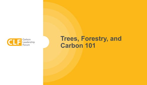 Wood Carbon Seminars - 1.2: Trees, Forestry, and Carbon 101 