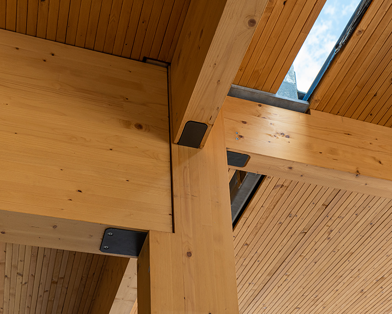 Mass Timber Enables Beauty, Warmth and Functional Design in The Soto